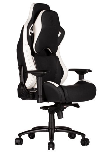 כיסא לגיימרים Dragon GT SPORT DELUX - צבע שחור / לבן