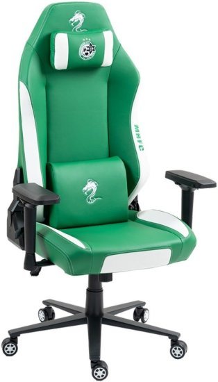 405980_b_1.jpg כיסא עבודה / גיימינג מדמוי עור דגם GPDRC-ALP-MHFC סדרת Alpine מבית Dragon - צבע ירוק / לבן במיתוג מכבי חיפה